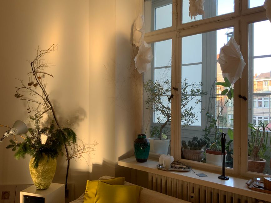 A warm and inviting living room featuring potted plants and sunlight streaming through large windows.